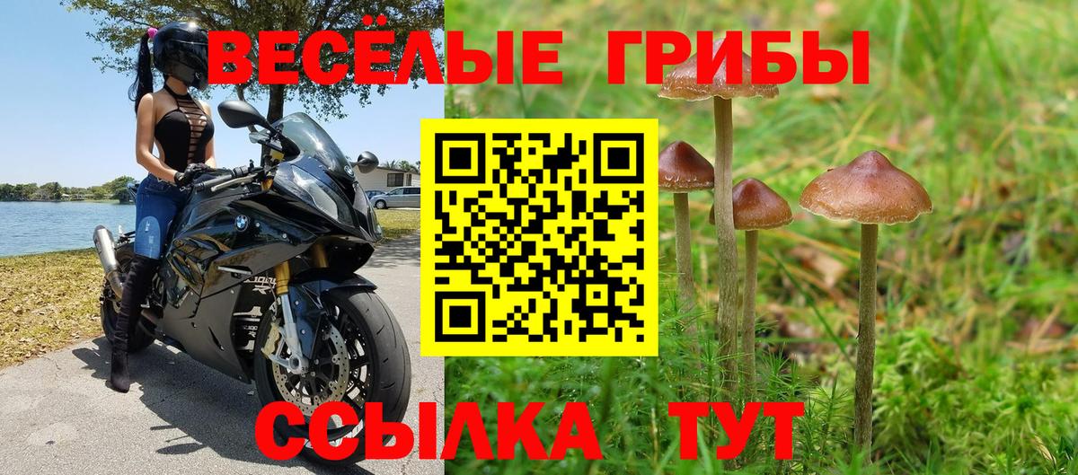 Галлюциногенные грибы мицелий  Вход с VPN  Электросталь 