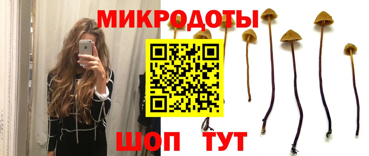 Псилоцибиновые грибы Cubensis Электросталь